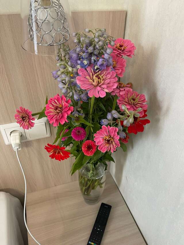 Гостиница Матрикс Санкт-Петербург-206